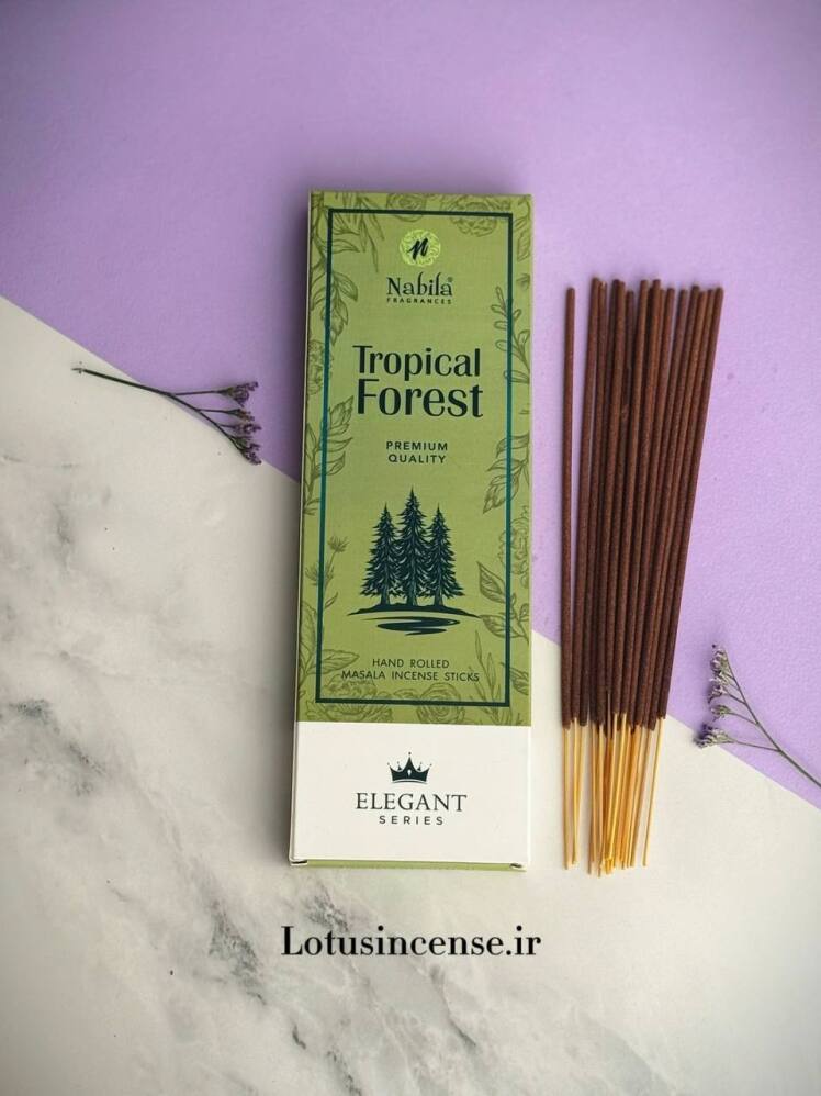 عود دست ساز نابیلا مدل(کاج) جنگل استوایی Tropical Forest